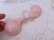 画像4: Pink Flower Paint Rattle