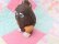 画像5: California Raisin Coin Purse Keychain