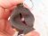 画像8: California Raisin Coin Purse Keychain
