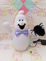 Fiber Optic Ghost Light