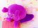 画像3: Garden Heroes Callie Cabbage