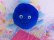 画像3: Garden Heroes Billy Blueberry