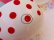 画像9: Red Polka Dot Bowl  (9)