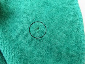 画像6: Snowman Applique Towel Green