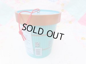 画像7: New Ice Cream Container 