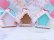 画像7: New Pastel Ginger House (7)
