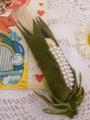 画像4: ＶｉｎｔａｇｅＡｐｐｌｉｑｕé Coneonthecob (4)