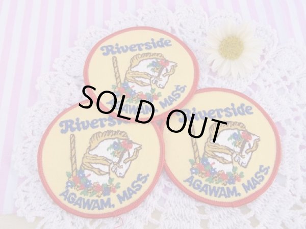 画像1: RIVERSIDE CAROUSEL PATCH (1)