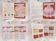 画像4: Betty Crocker's Frosting Secret (4)