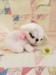 画像1: Sleepy Bunny White (1)