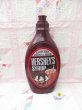 画像1: HERSHEY'S SYRUP JUMBO BANK (1)