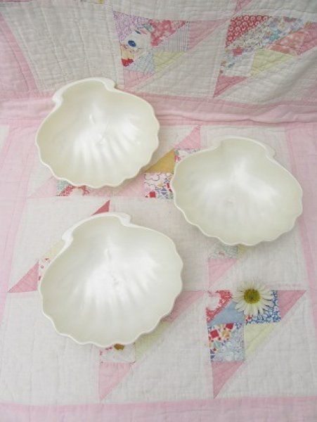 画像1: Shell Bowl White (1)