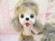 画像4: Fur Poodle Large (4)