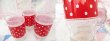 画像4: AH Dot＆Lace Tumbler Red M (4)