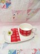 画像1: NASCO Snack Plate Red Check (1)