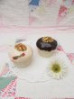 画像1: Nuts on Cupcake S&P Shaker (1)