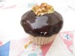 画像8: Nuts on Cupcake S&P Shaker (8)