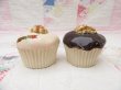 画像3: Nuts on Cupcake S&P Shaker (3)