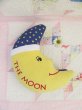 画像1: THE MOON Fabric Book (1)