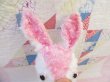 画像7: Rubber Nose Bunny Pink×White (7)