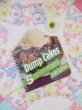 画像1: Dump Cakes (1)