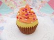 画像2: Squeeze Cupcake Orange (2)