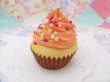 画像4: Squeeze Cupcake Orange (4)