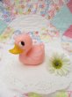 画像1: Pink Duck Rattle (1)