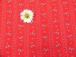 画像3: Tyrolean Flower Stripe Red (3)