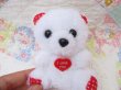 画像5: Little Valentine Bear Plush (5)