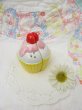 画像1: Half Cut Cup cake S&P Shaker (1)