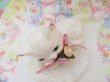 画像5: Bow Flower Kitten Figurine (5)