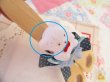 画像6: Little Bear Scissors Magnet (6)