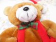 画像7: Christmas Bear Stocking (7)