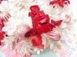 画像4: Old Plastic Wreath White (4)