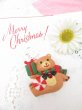 画像1: Gift Bear Plastic Pin (1)