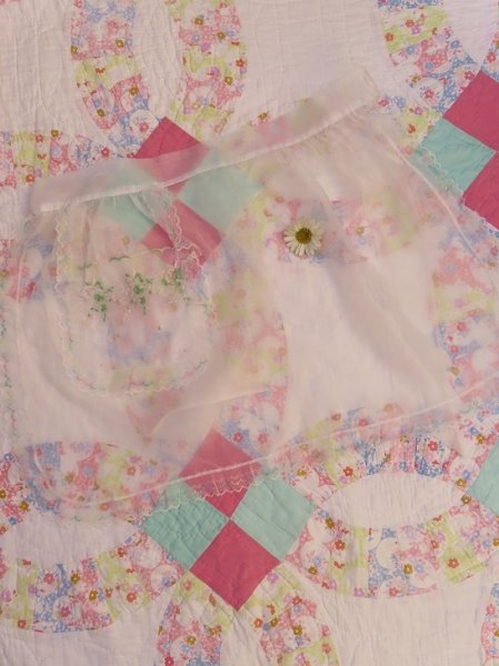 画像1: Organdy Apron Pastel Lace (1)