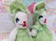 画像8: Green Gingham Dress Bunnies  (8)