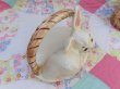 画像7: Ceramic Bunny Basket Jar (7)