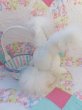 画像4: Giggle Bunny Easter Basket Green (4)
