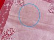画像6: Hanky 488 (6)