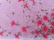 画像5: Hanky 504 (5)