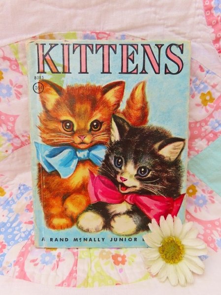 画像1: KITTENS (1)