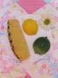 画像1: Cut Fruit Magnet Set B (1)