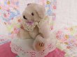 画像3: Little Bear Lace Collar (3)