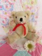 画像1: Red Bow Teddy Bear S (1)