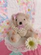 画像1: Little Bear Lace Collar (1)