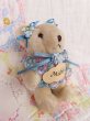 画像4: Little Bear Michel (4)