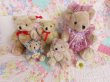 画像9: Romantic Teddy Bear Wedding S (9)