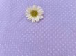 画像5: Pindots Lavender Sheer (5)